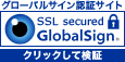 About SSL Encryption 